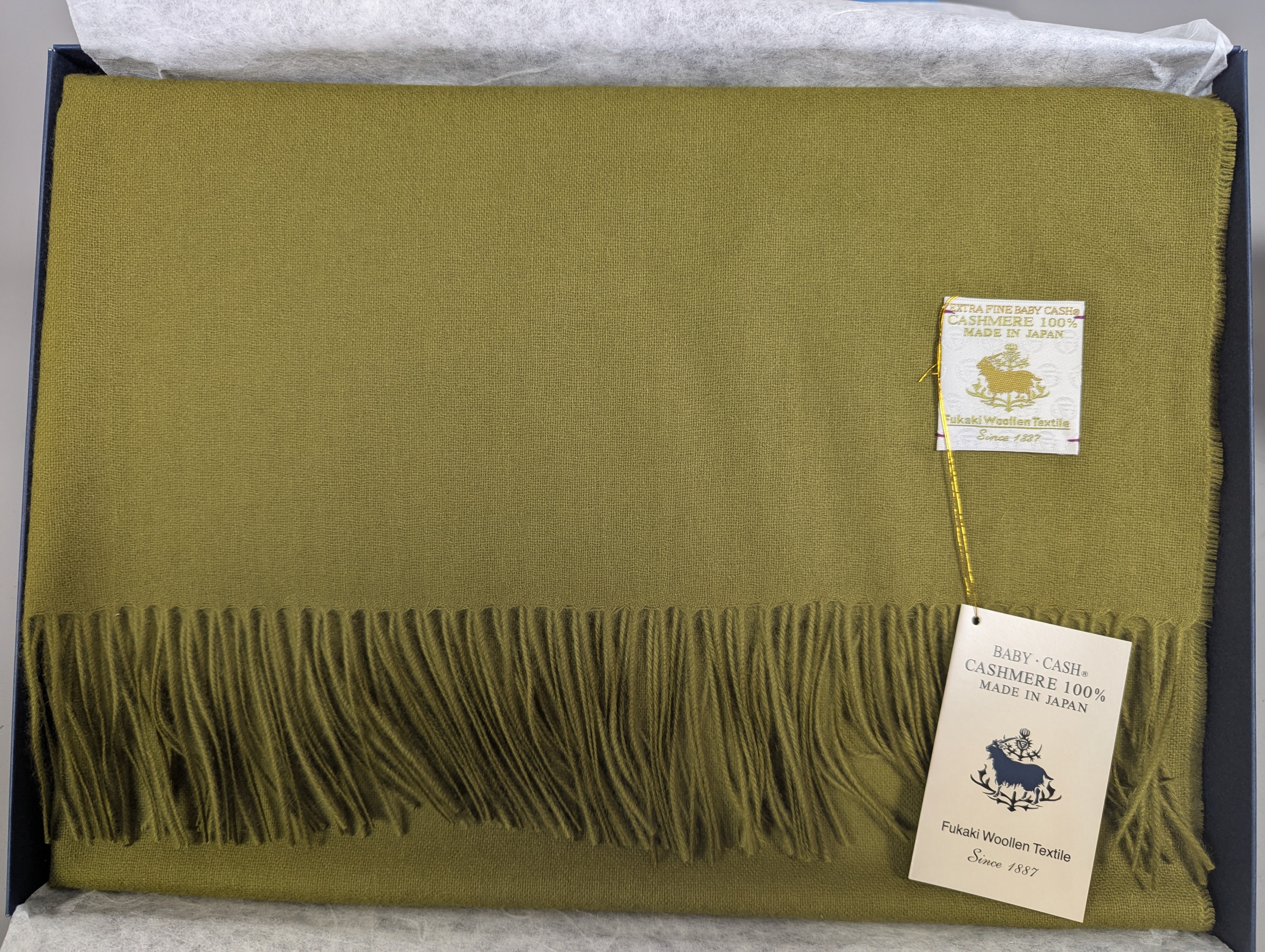 Fukaki Woolen Texture Baby Cashmere Scarf – Model 639-W54 – Moss Green – 79 cm x 184 cm