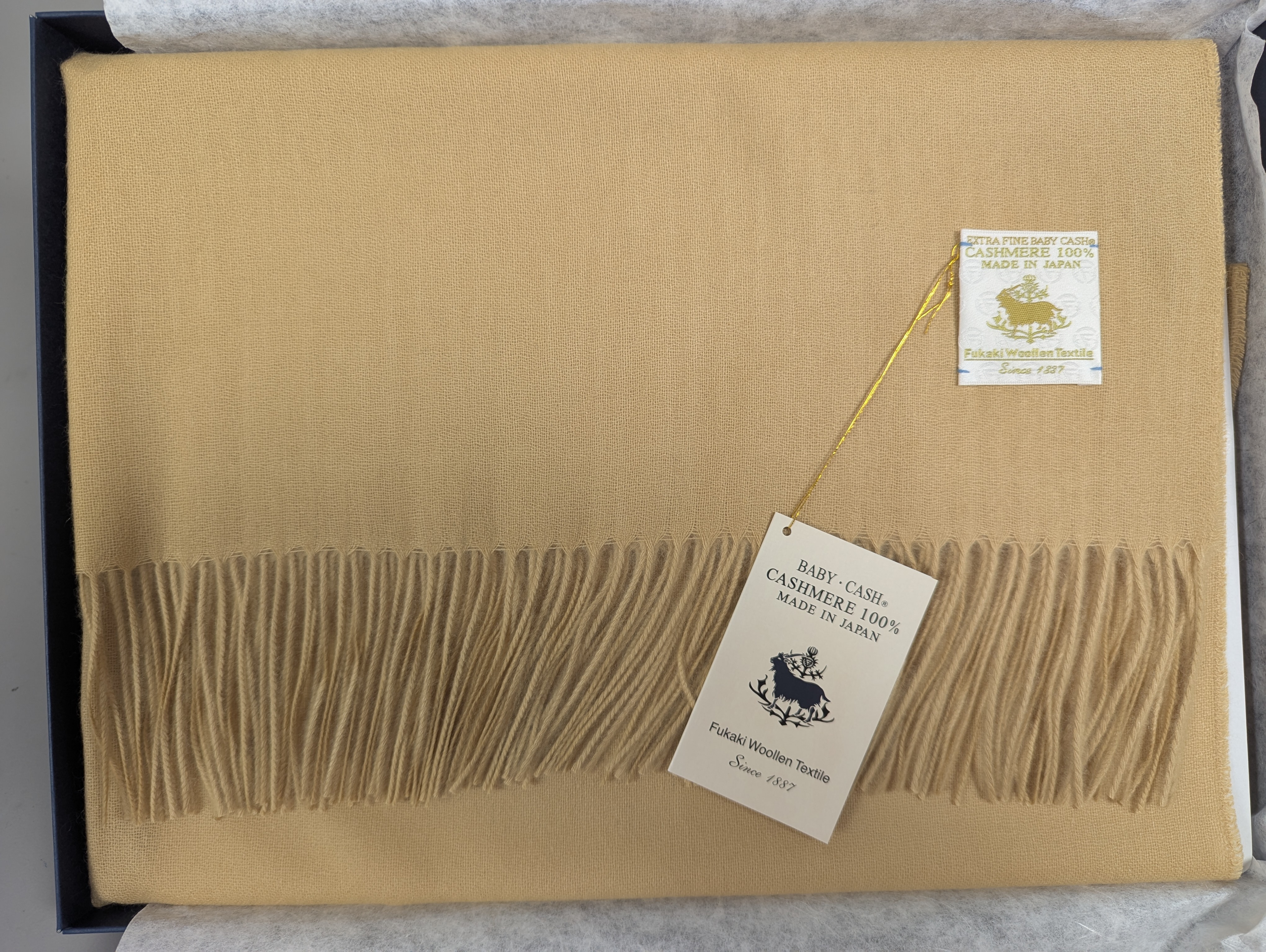 Fukaki Woolen Texture Baby Cashmere Scarf – Model 639-W62 – Beige – 81 cm x 184 cm